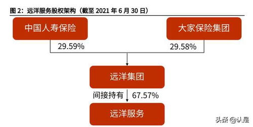 遠(yuǎn)洋服務(wù)研究報(bào)告 品質(zhì)立身,中高端服務(wù)優(yōu)勢(shì)凸顯
